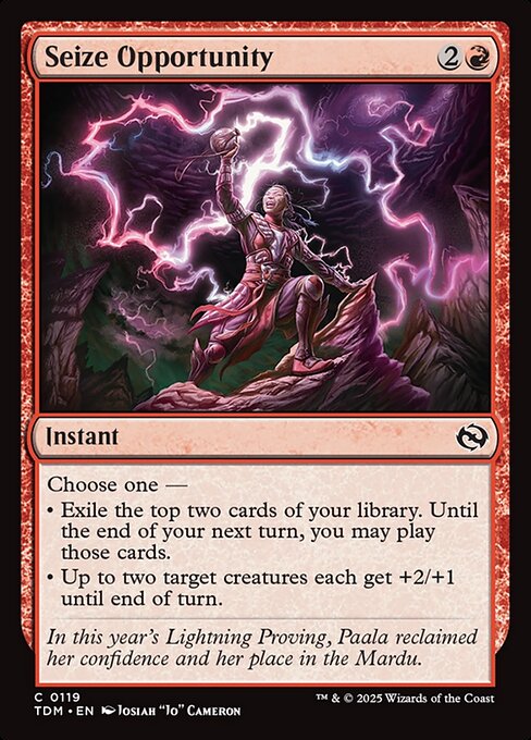 Seize Opportunity - Tarkir: Dragonstorm () #119