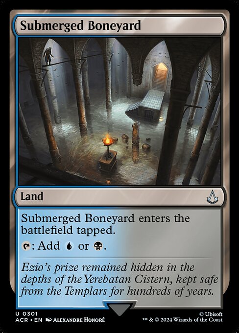 Submerged Boneyard - Assassin's Creed () #301