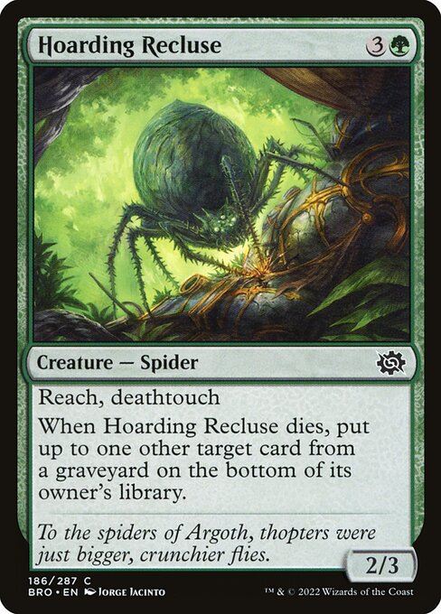 Hoarding Recluse - The Brothers' War () #186 [Foil] [Foil]