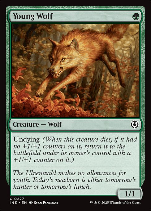 Young Wolf - Innistrad Remastered (inr) #227 [Foil] [Foil]