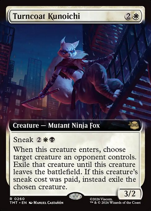 Turncoat Kunoichi - Teenage Mutant Ninja Turtles () #260