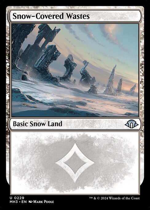 Snow-Covered Wastes - Modern Horizons 3 (mh3) #229 [Foil] [Foil]