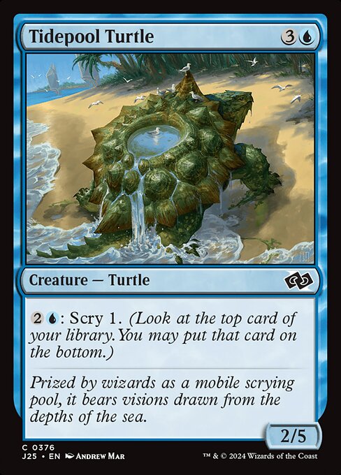 Tidepool Turtle - Foundations Jumpstart () #376