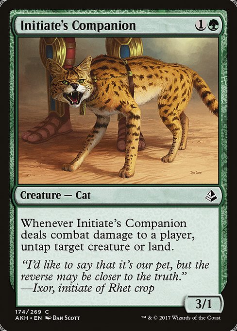 Initiate's Companion - Amonkhet (AKH) #174