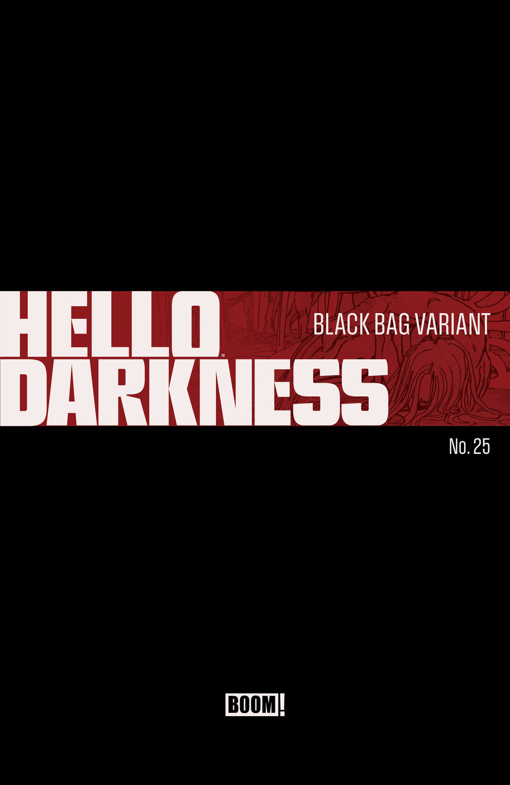 Hello Darkness #25 D Black Bag Variant (Dressed, Hixson)